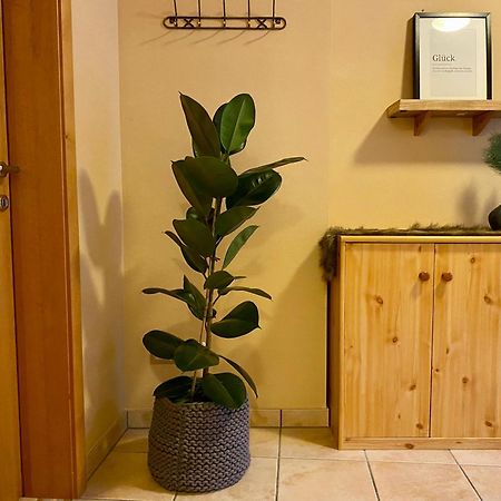 Appartement Auwald Forstau  Esterno foto