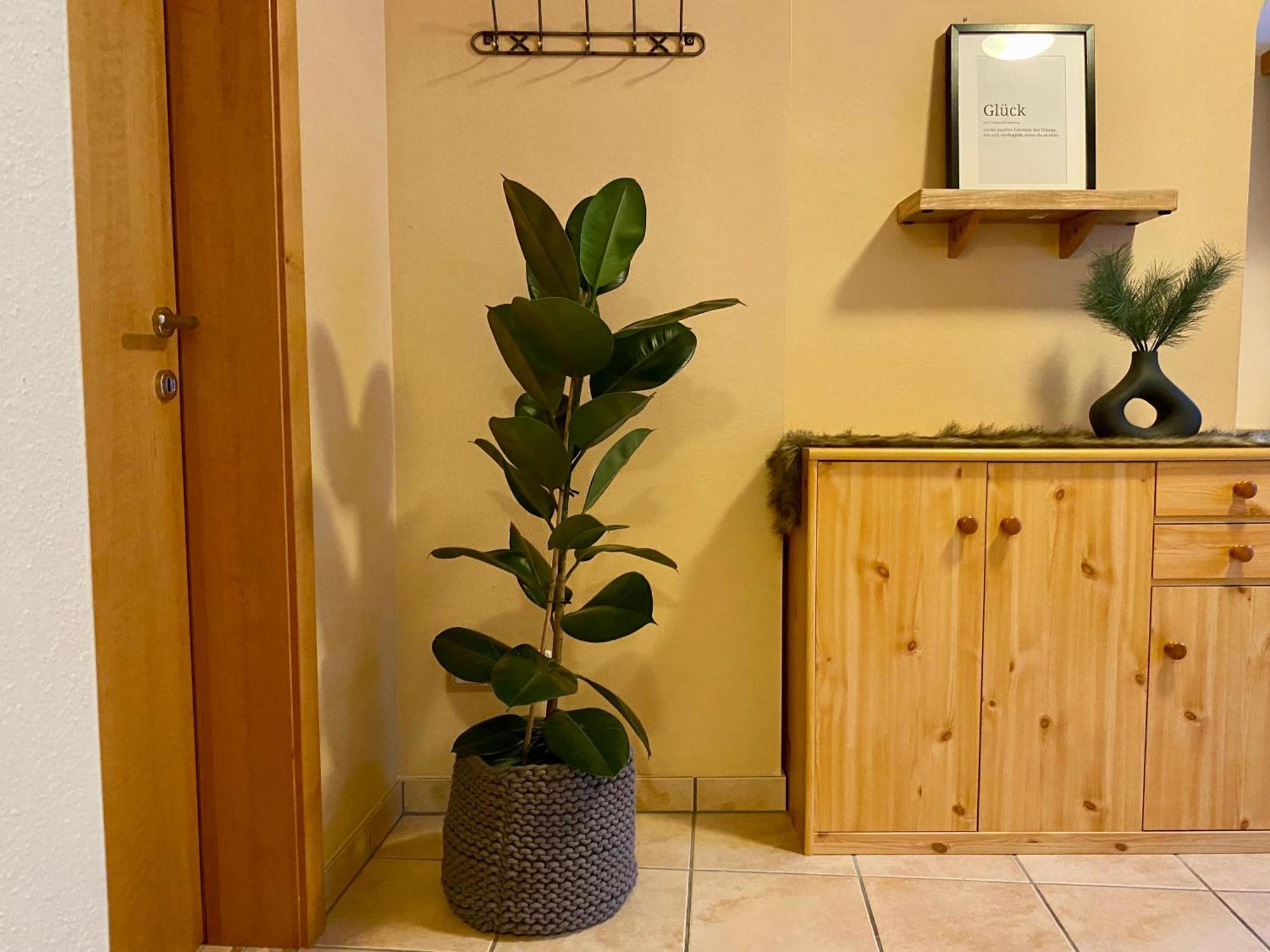 Appartement Auwald Forstau  Esterno foto